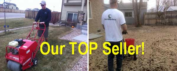 raking-top-seller